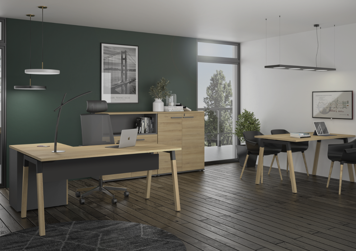 Magasin de bureaux professionnels, Sainte-Eulalie, Gautier Bordeaux Sainte Eulalie