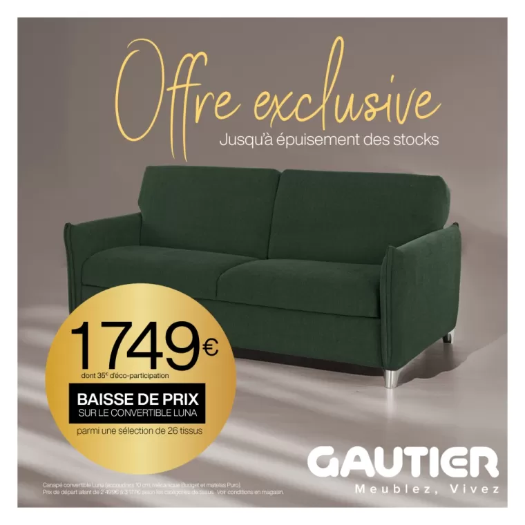 Offre canapés convertibles à Bordeaux, Sainte-Eulalie, Gautier Bordeaux Sainte Eulalie